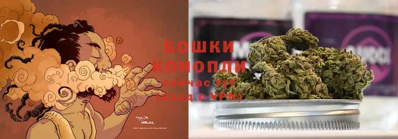 Конопля Ganja  Берёзовский 